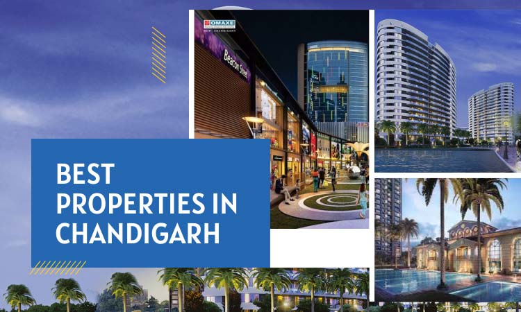 real estate investment in chandigarh